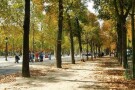Champs-Elysees (3).JPG
