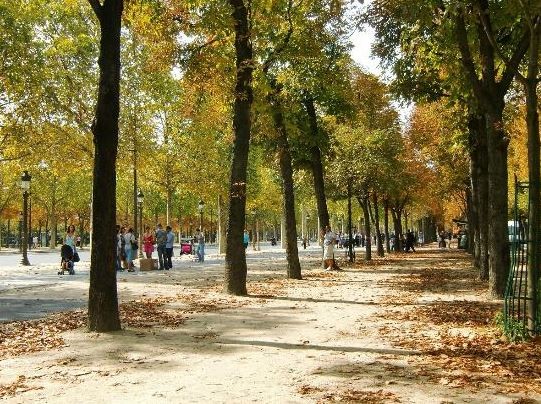 Champs-Elysees (3).JPG