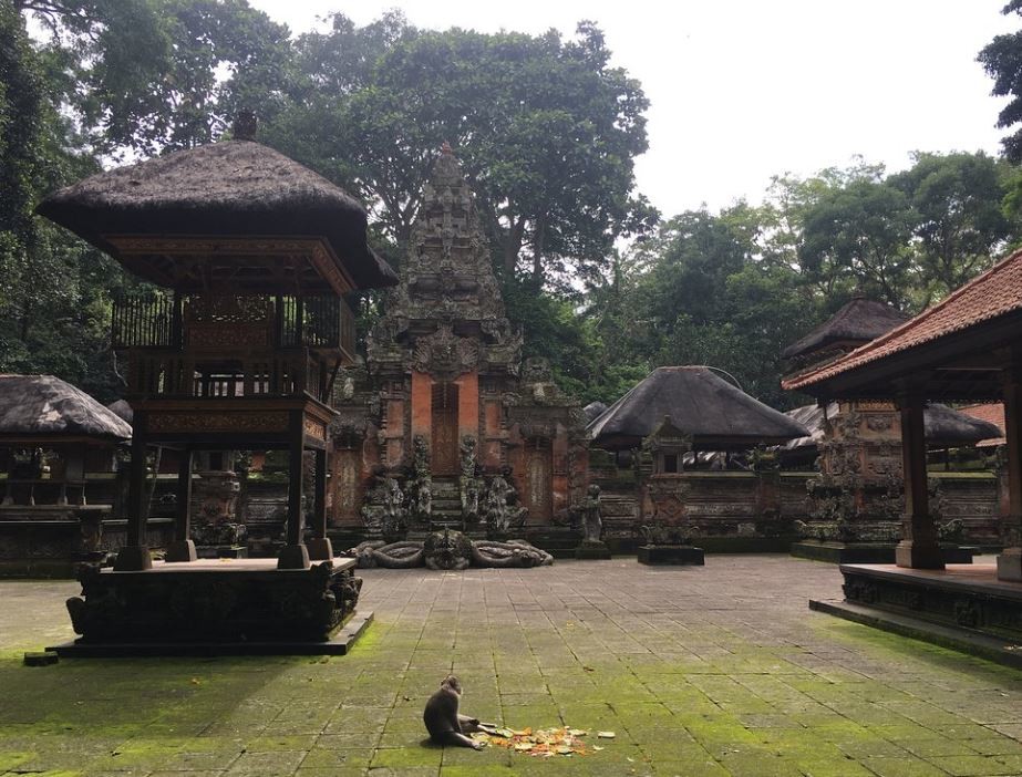 Sacred Monkey Forest Sanctuary (1).JPG