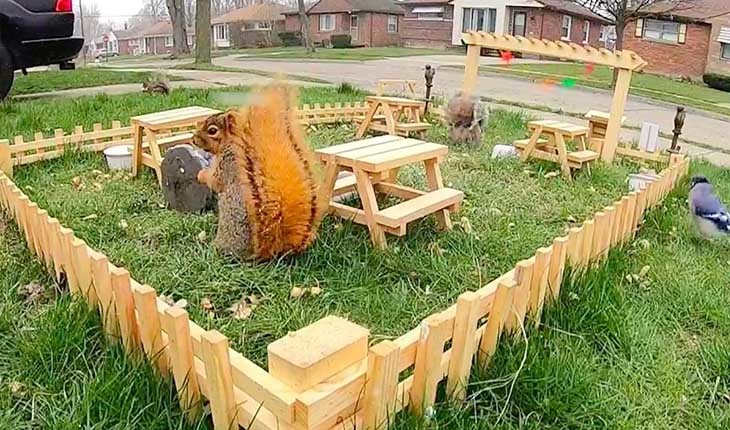 ابتکار فردی در قرنطینه و ساخت رستوران برای سنجاب ها!