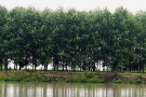 lichah Village 2.jpg