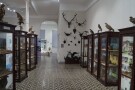 Khariton Akhvlediani Adjara State Museum.JPG