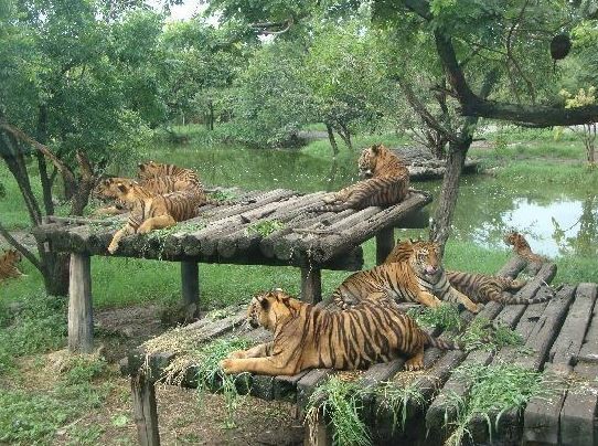 Safari World (5).JPG