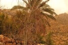 Homag Village siyahu (3).JPG