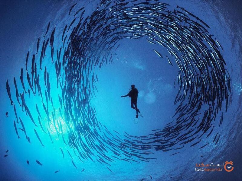 عکس‌های از زیر آب که نفس شما را می‌گیرد