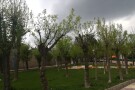 Azadegan Park (2).JPG