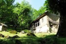 Chushal Village (2).JPG