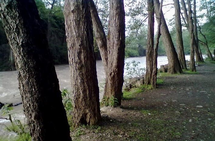 Chalus Fian Forest Park (2).JPG