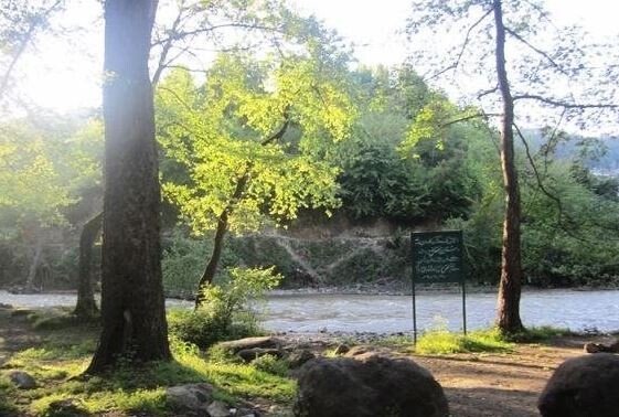 Chalus Fian Forest Park (3).JPG