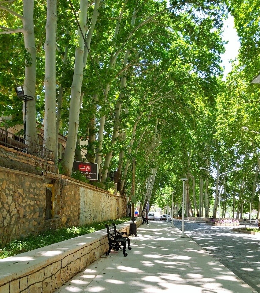 Sarcheshmeh Park (3).jpeg