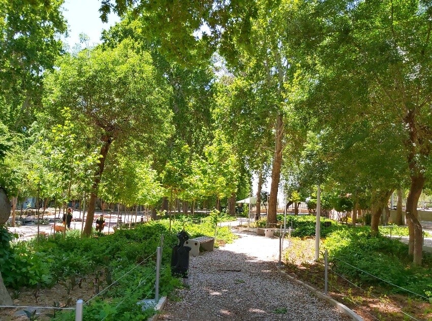 Sarcheshmeh Park (5).jpeg