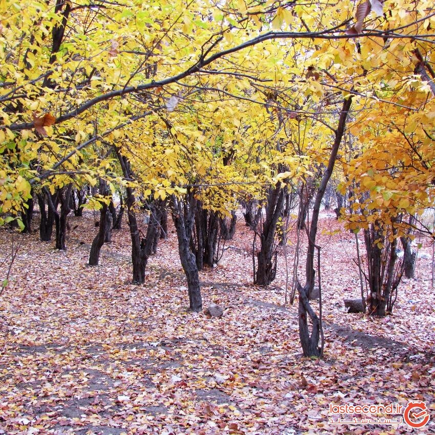Markadeh Village (3).jpeg