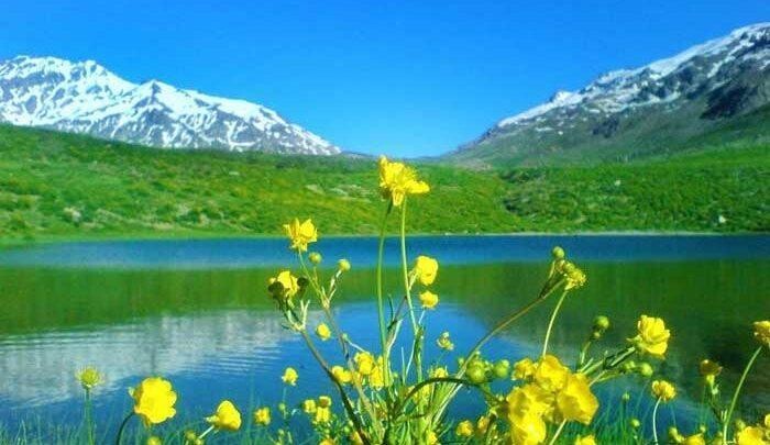 تور طبیعت گردی