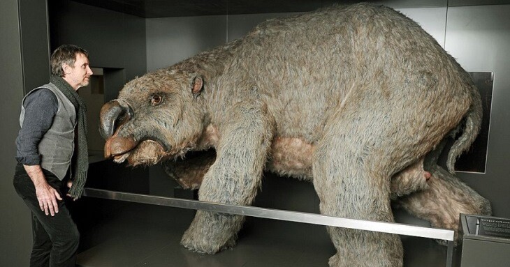 بقایای جانور عظیم‌الجثه ی 25 میلیون ساله در استرالیا یافت شد!