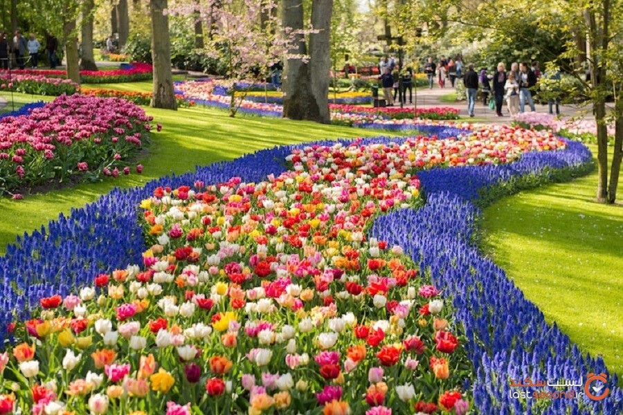 10 باغ خیره‌کننده در سراسر جهان که دارای رنگ و طراحی خیره‌کننده می‌باشند