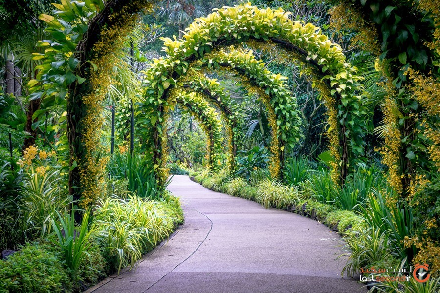 Botanic-Gardens.jpg