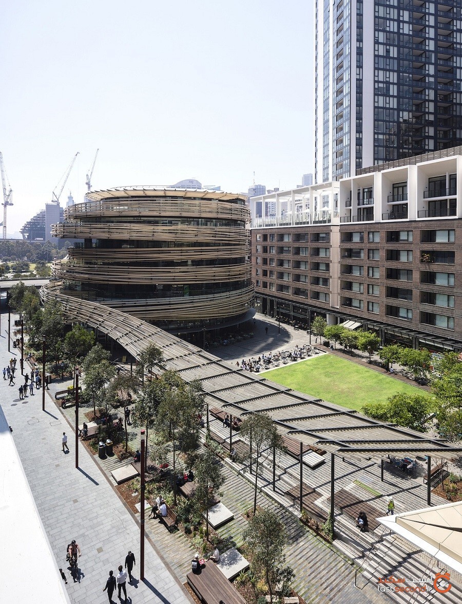 کنگو کومای معمار دور ساختمانی در سیدنی، یک لانه چوبی بزرگ کشیده است
