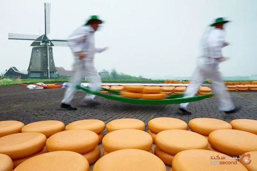 netherlands-local-cheese.jpg