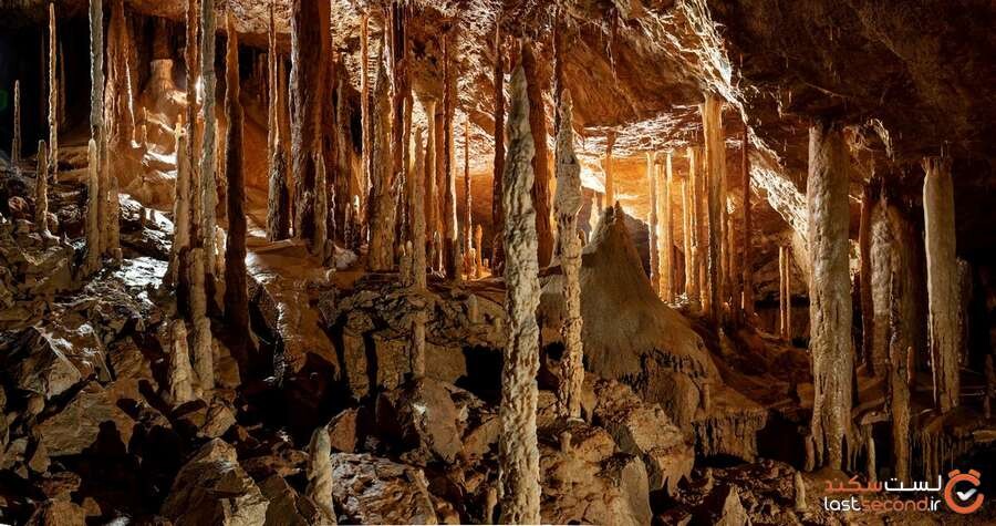 mulu-caves-stalagmites-drunken-forest.jpg