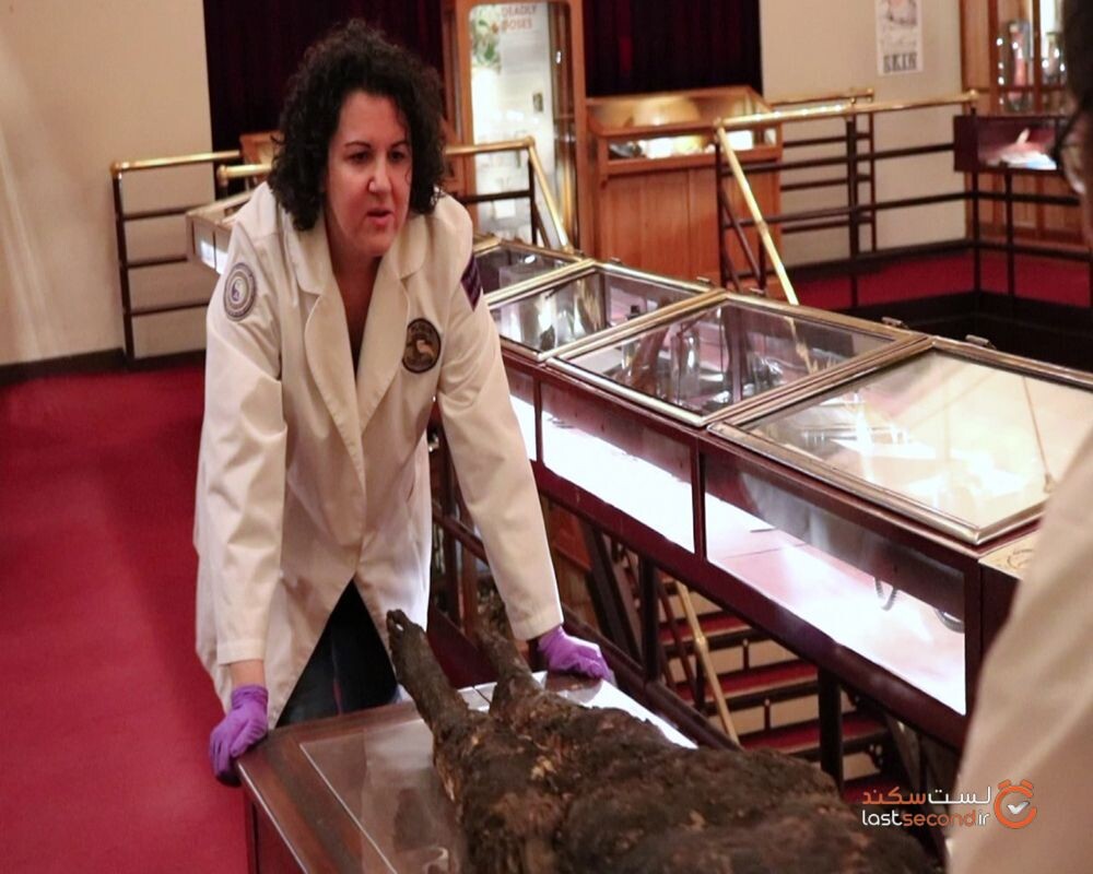 زن صابونی موزه ماتر