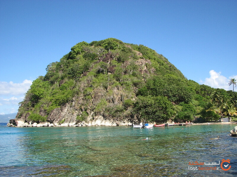 جزیره گوادلوپ