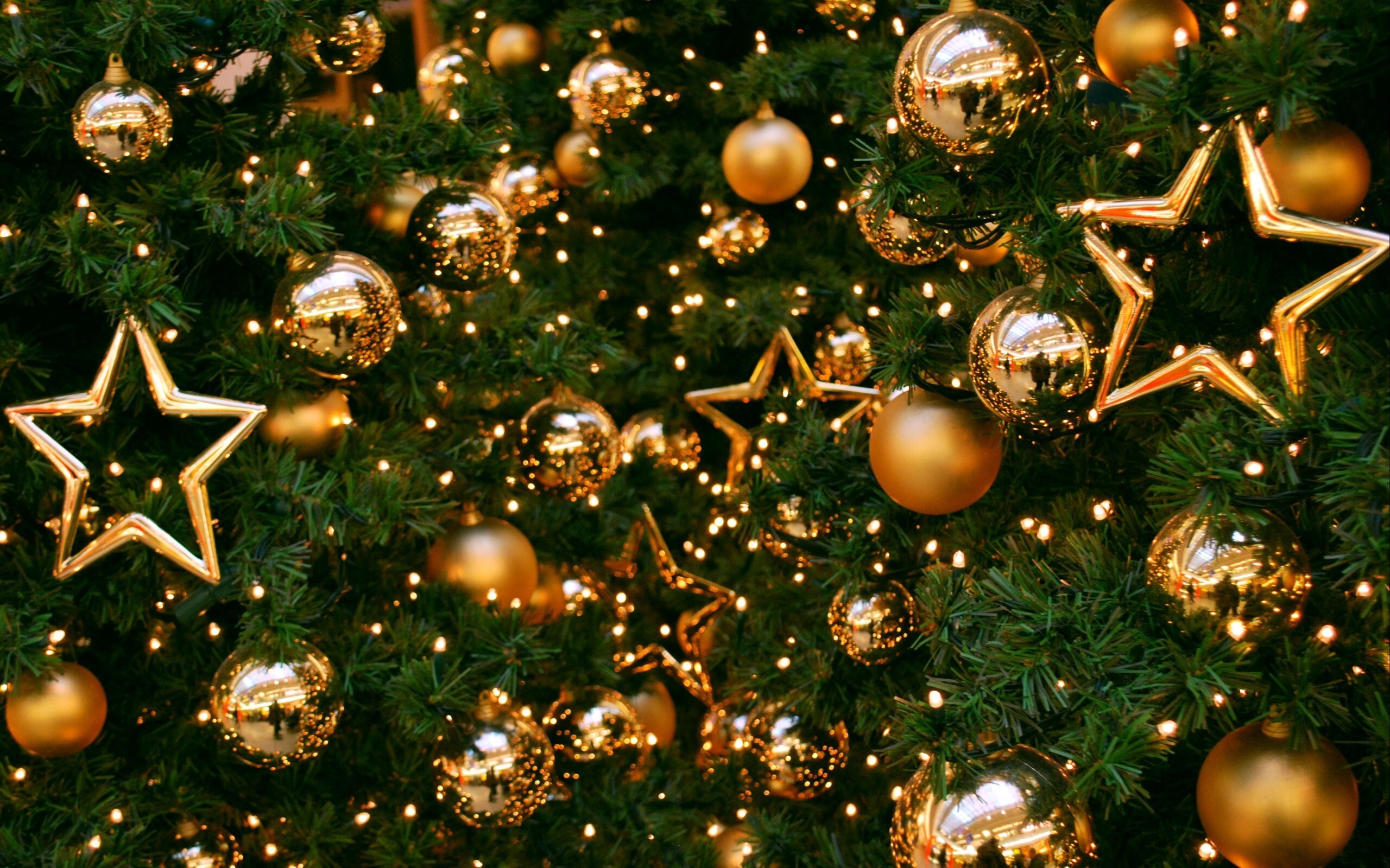 7 درخت کریسمس منحصر به فرد در جهان