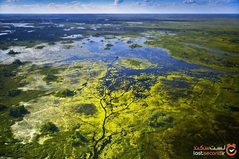 okavango delta national park.jpg