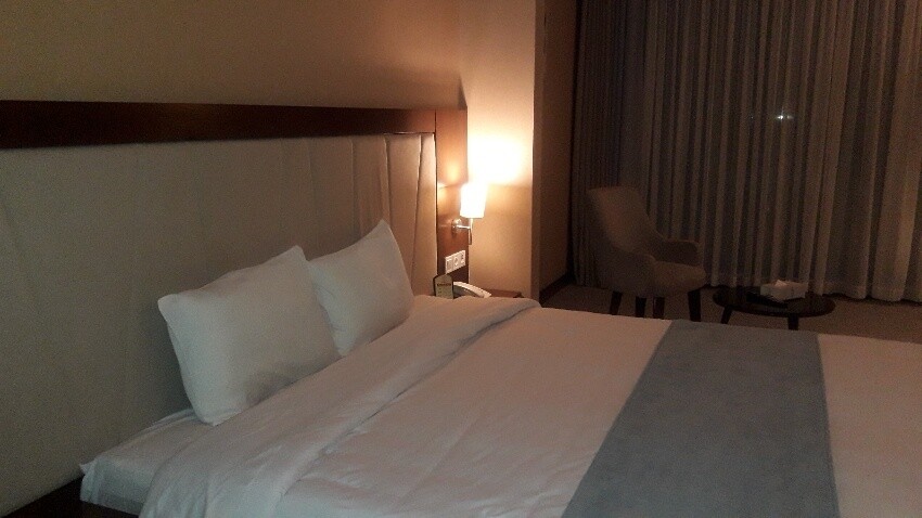 Amiran Hotel Neyshabur (1).jpeg