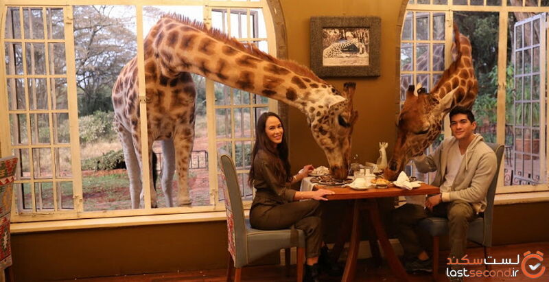 Giraffe Manor.jpg