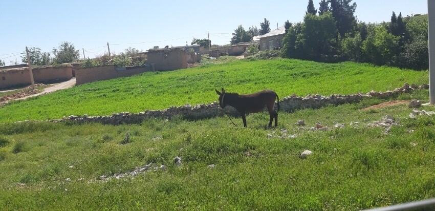 Village Doshman Zyari (1).jpeg