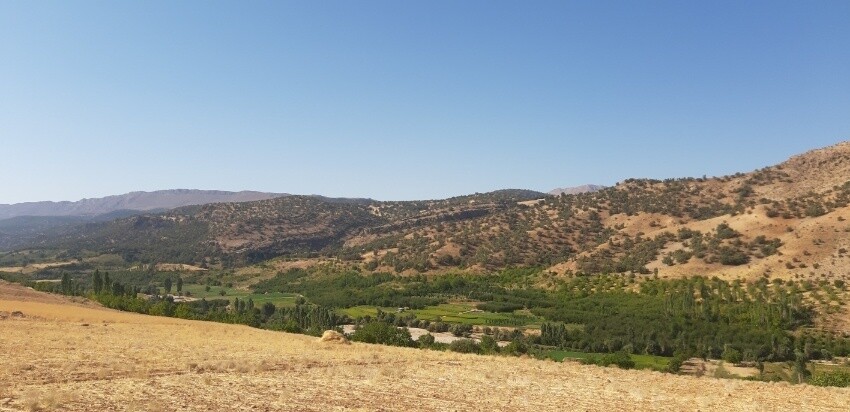 روستای سارون سلفی1.jpeg