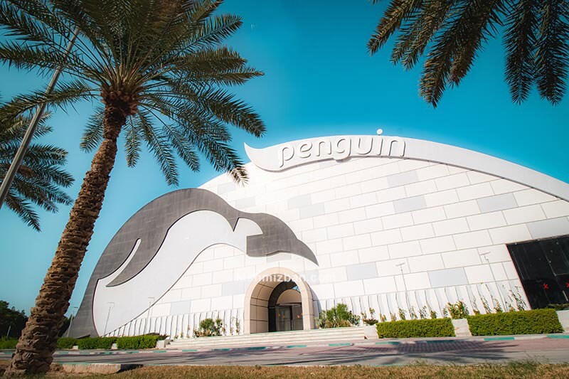 Penguin Tourist Complex