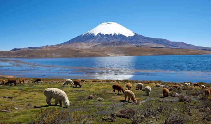 معرفی 10 تا از بهترین پارک های ملی آمریکای جنوبی