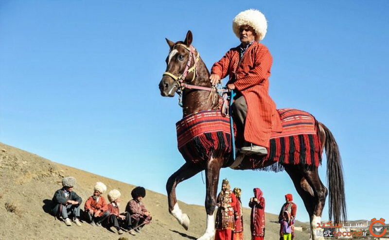 اسب‌های ترکمنی