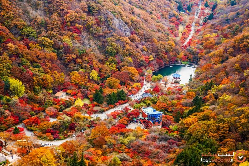 پارک ملی کره جنوبی