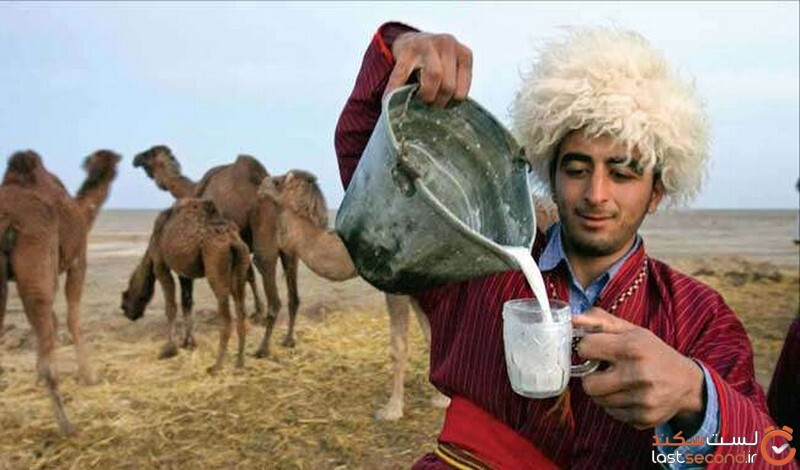 شتر در فرهنگ ترکمن ها