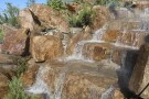 باغستان (2).jpg
