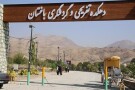 باغستان (3).jpg
