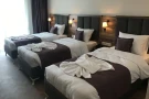 4eb4306c_z.webp