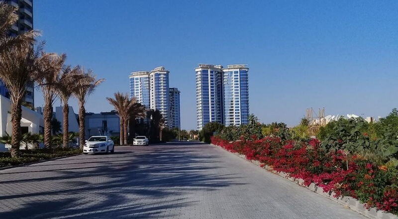 عکس کیش جدید