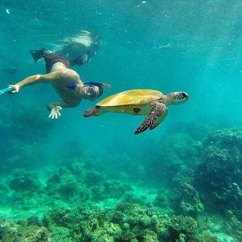 عکس کیش جدید