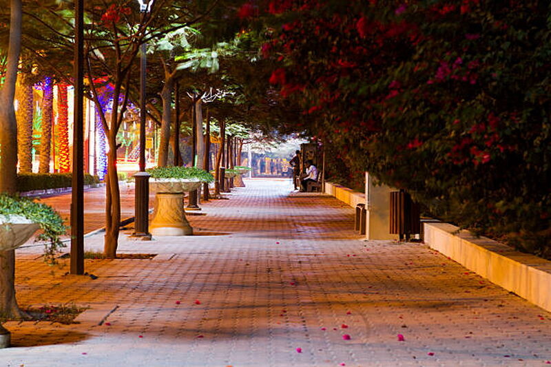 عکس کیش جدید