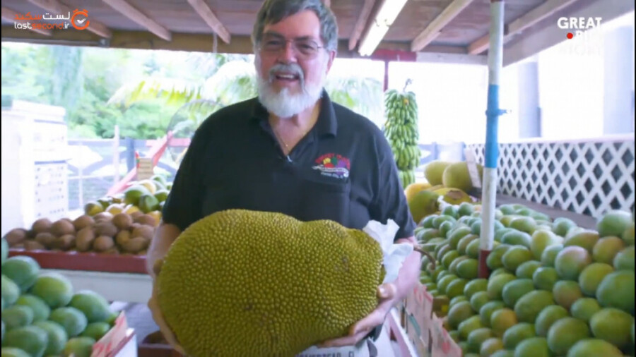 این مرد عجیبترین میوه ها را پرورش می دهد!