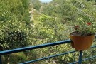 Salar Sarvelat Cafe Restaurant (2).jpeg