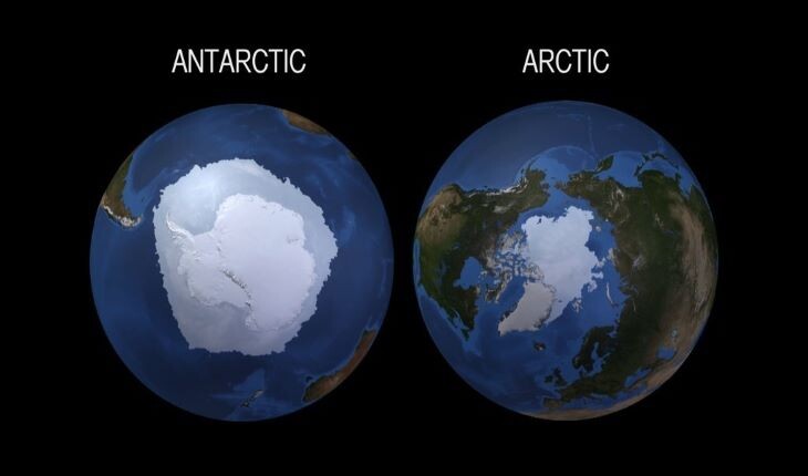 10 تفاوت عجیب بین قطب شمال و قطب جنوب!