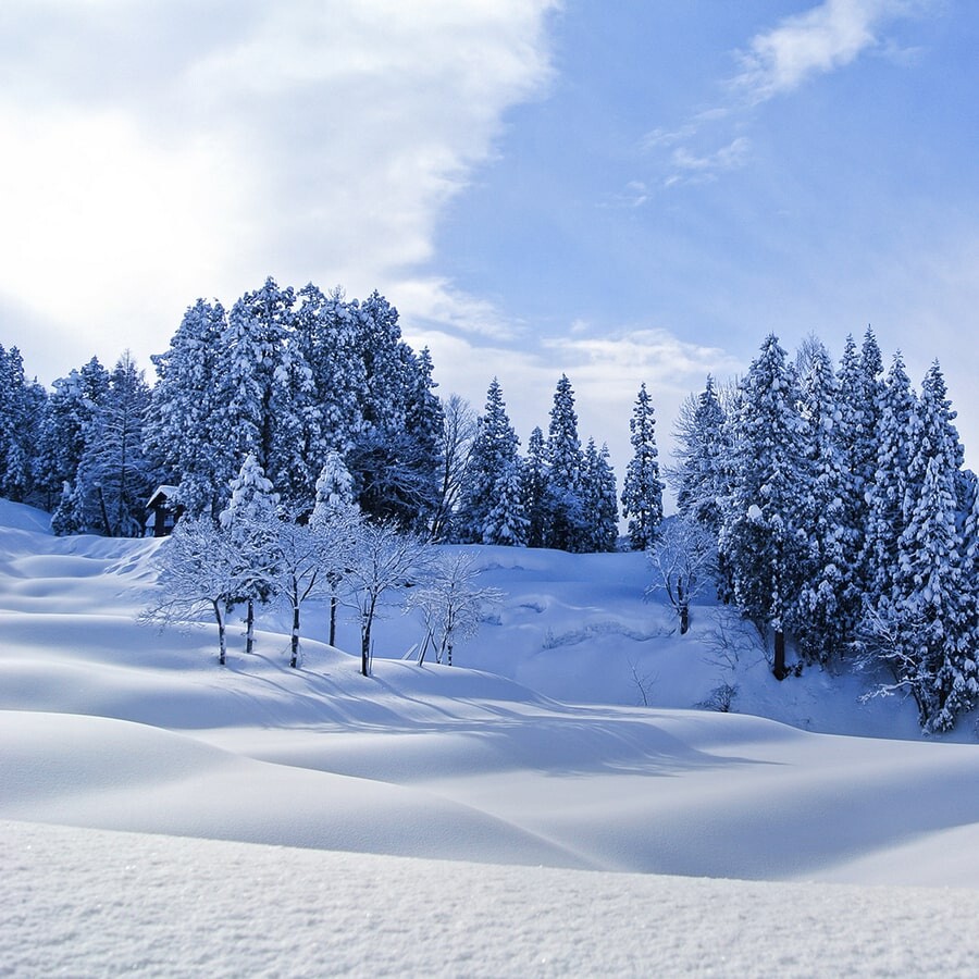 عکس زمستان