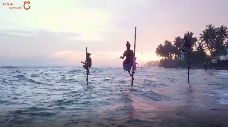 ماهیگیران سریلانکا و روش عجیب صید ماهی!