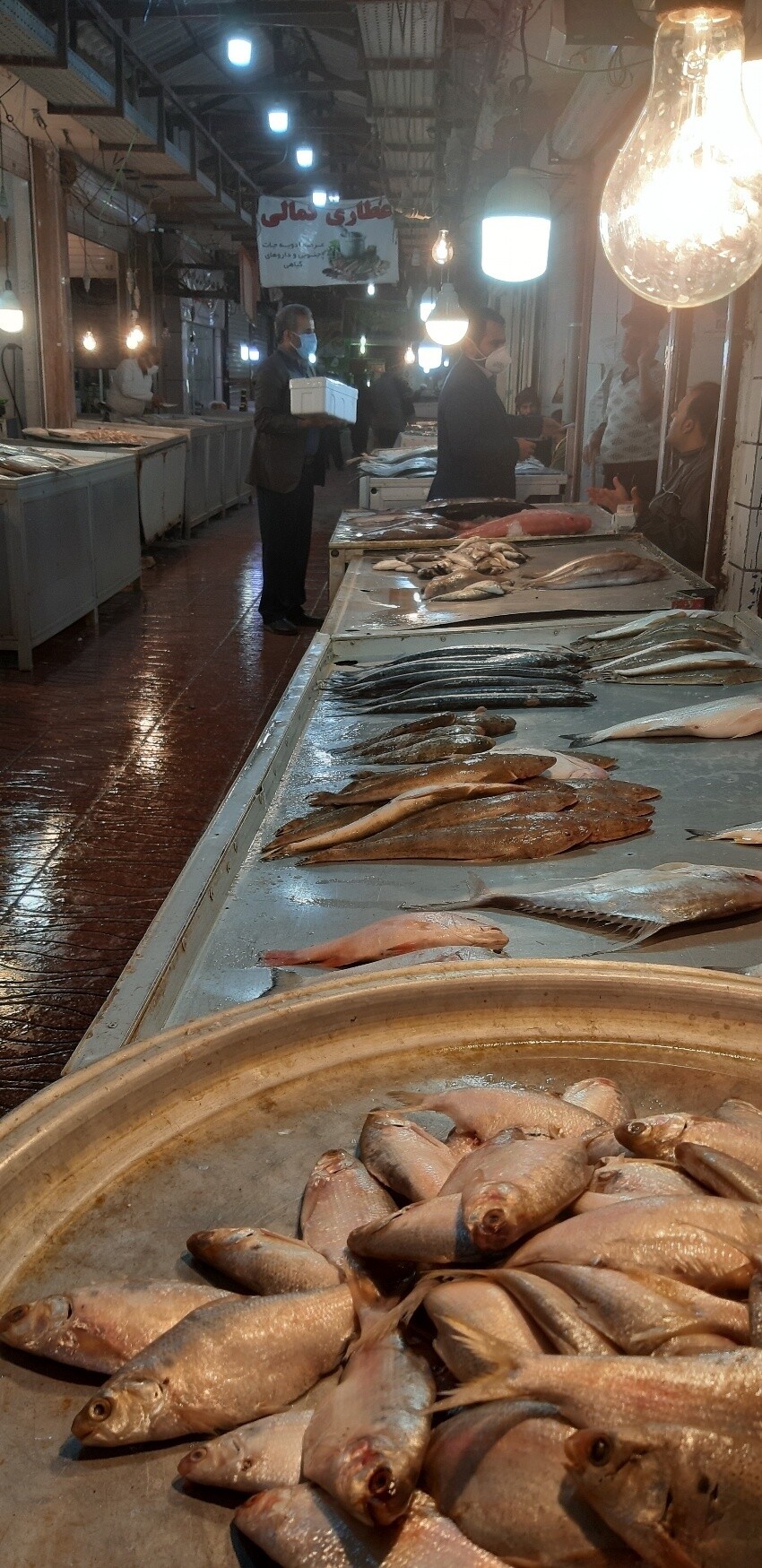 Bandar Bushehr (2).jpeg