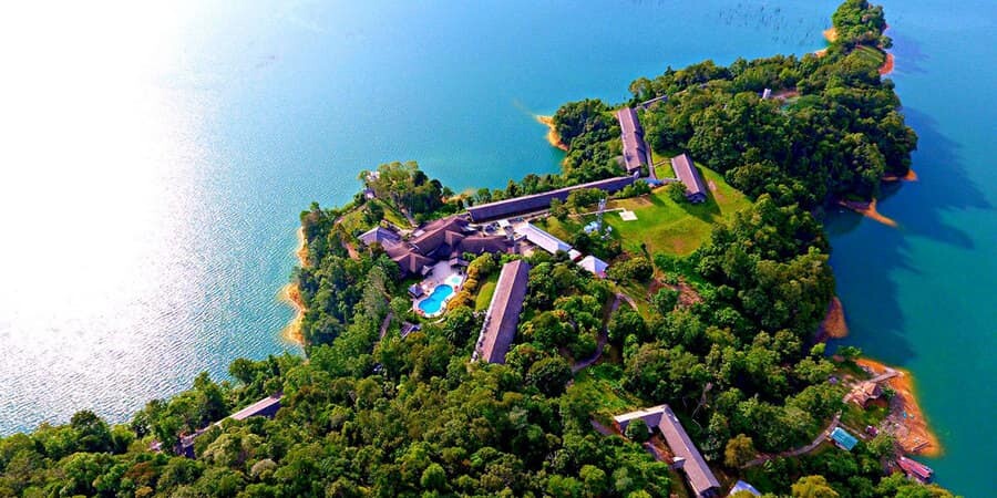 عکس جنگل شمال