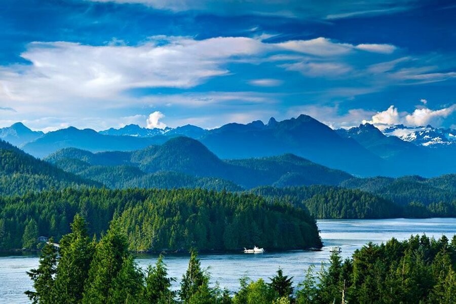 عکس جنگل شمال